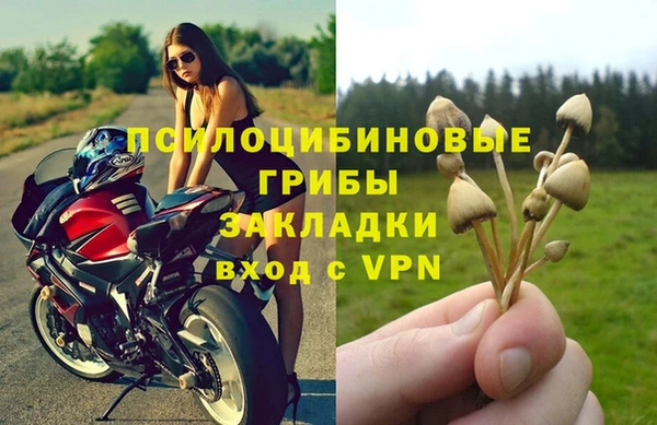 круглые Аркадак