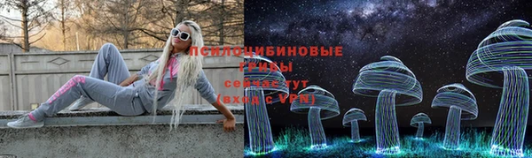 круглые Аркадак