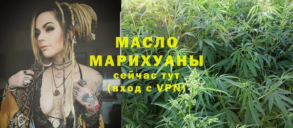 сатива Армянск